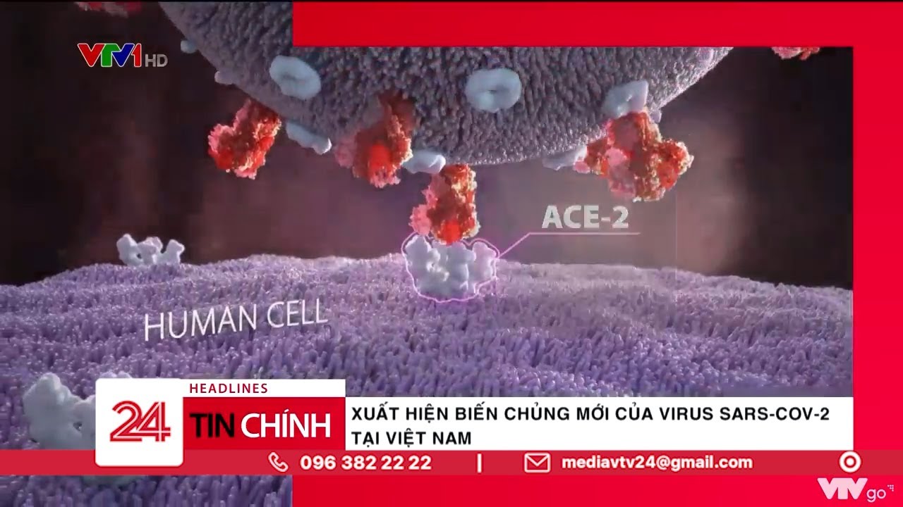 Xuất hiện biến chủng mới của virus SARS-CoV-2 tại Việt Nam
