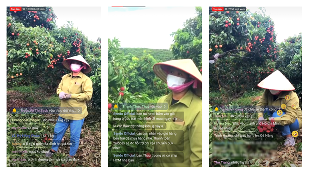 Chỉ trong 40 phút livestream, một nông dân Bắc Giang bán được 8 tấn vải thiều