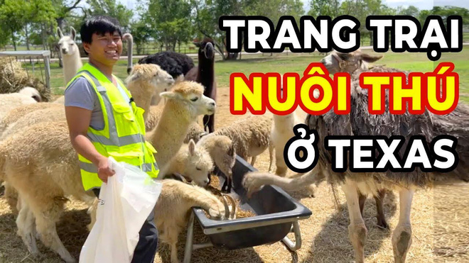 Vương Phạm Fastboy: Tiền nhiều cũng chỉ ăn 3 bữa/ngày, ngủ giường 2m, nhà có mái che trên đầu là được