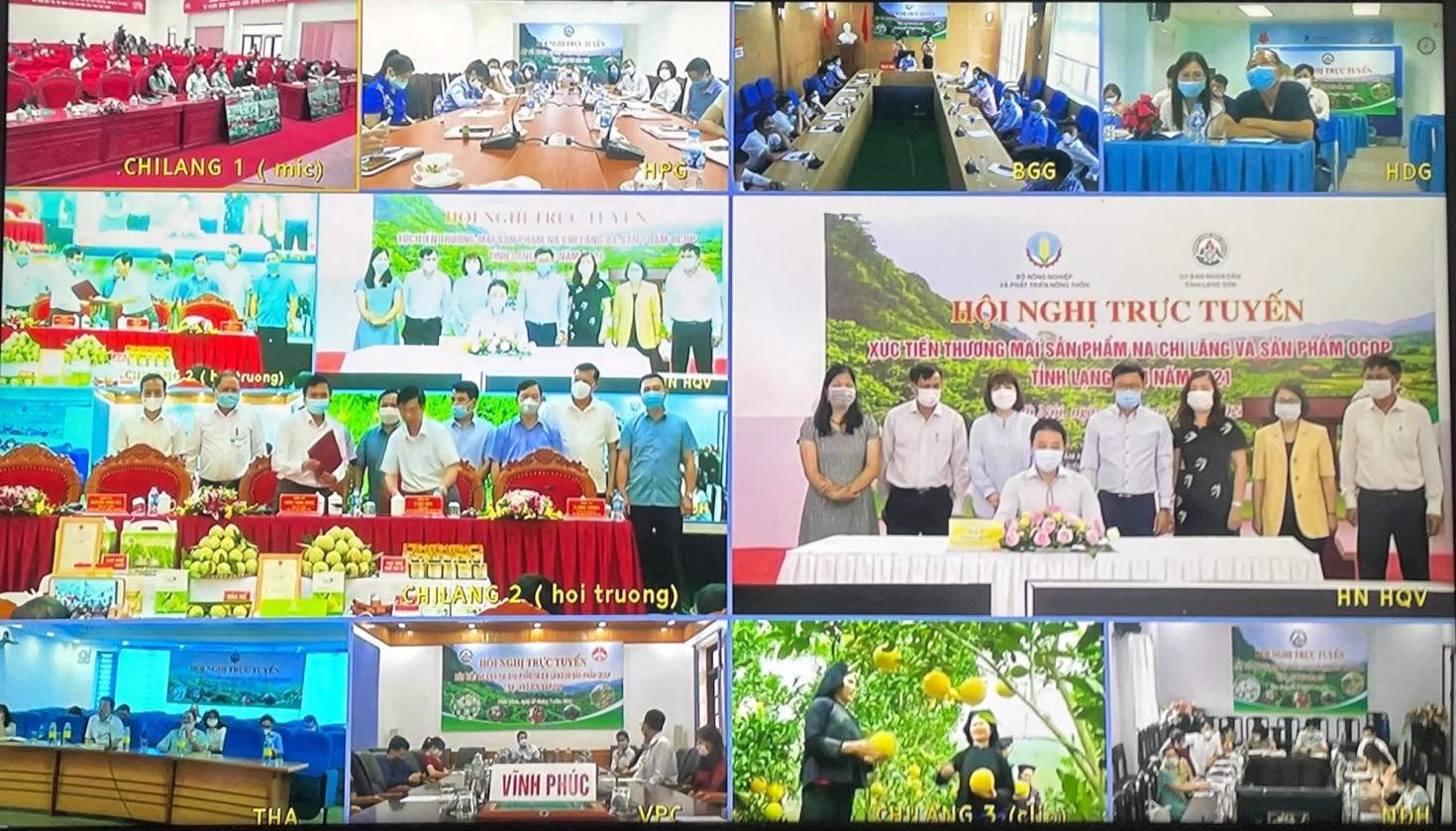 Đẩy mạnh tiêu thụ nông sản Lạng Sơn trên Sàn TMĐT thông qua “Gian hàng Việt trực tuyến'