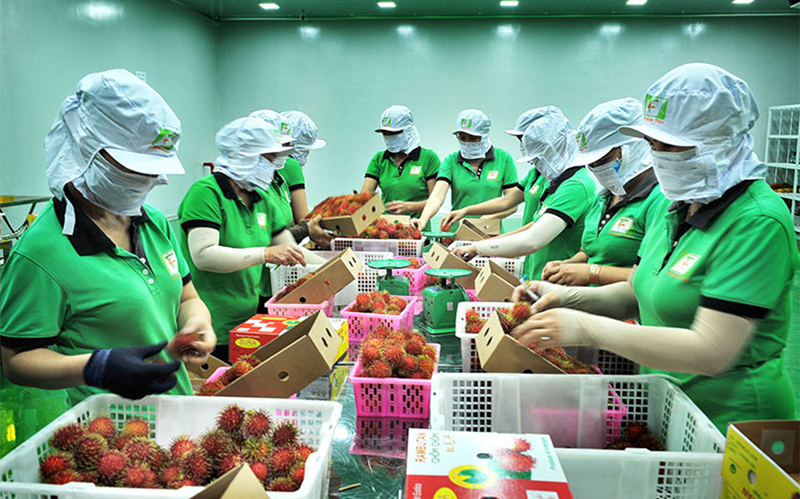Mỹ sẽ không ban hành bất kỳ biện pháp hạn chế thương mại nào với hàng hóa Việt Nam