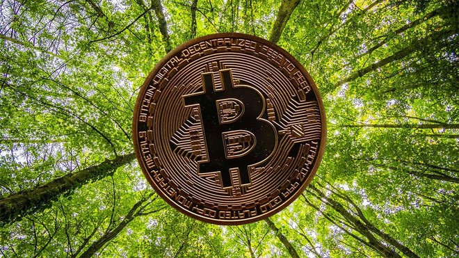 Giá Bitcoin hôm nay (ngày 4/8): Bitcoin giảm nhẹ trước những lo ngại về chính sách