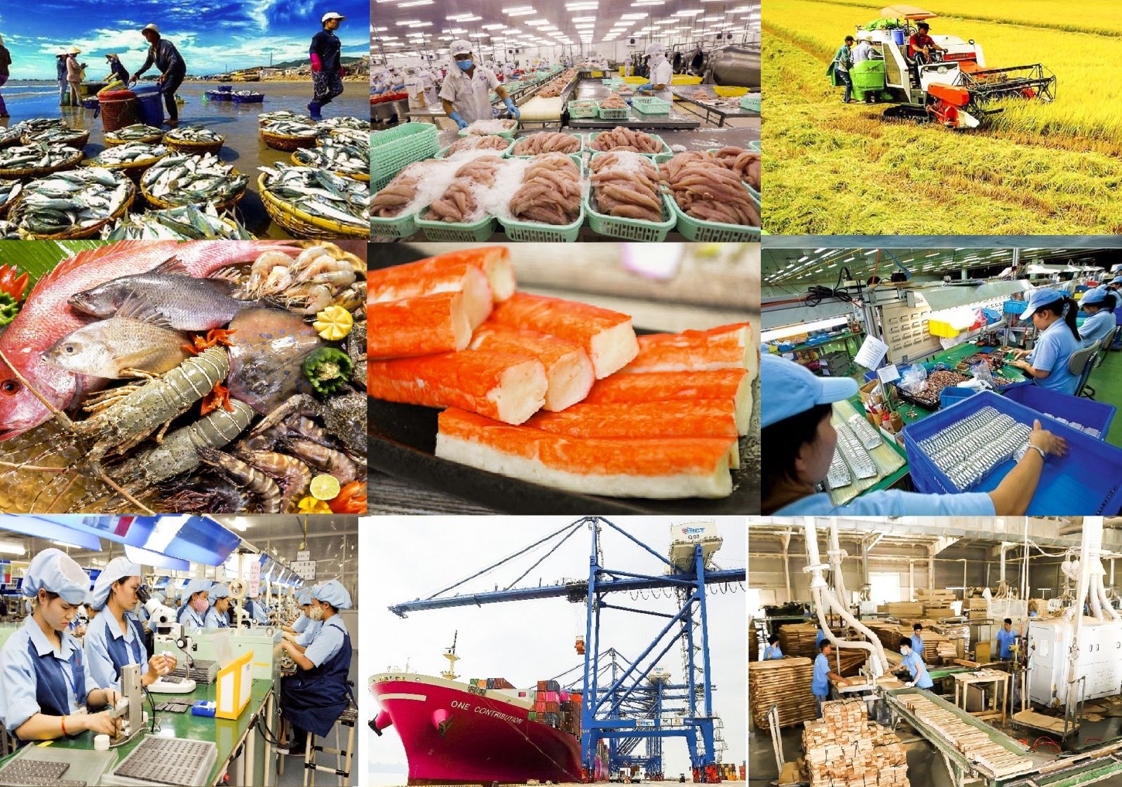 Hiệp định EVFTA: Động lực mạnh mẽ để thúc đẩy quan hệ hợp tác Việt Nam – EU