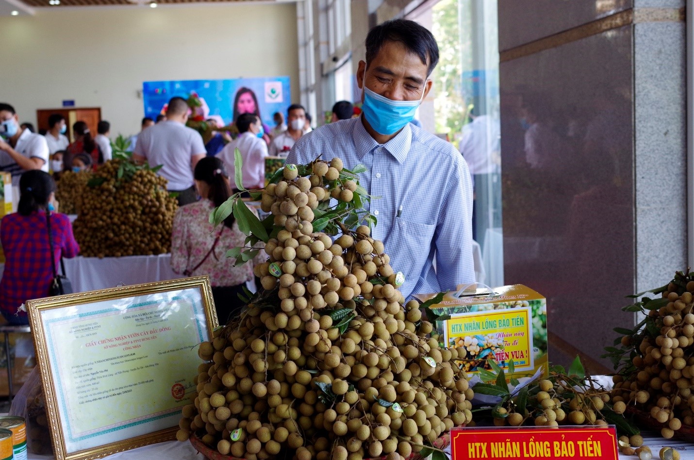 Khuyến khích phân phối, đẩy mạnh tiêu thụ nông sản qua kênh thương mại điện tử