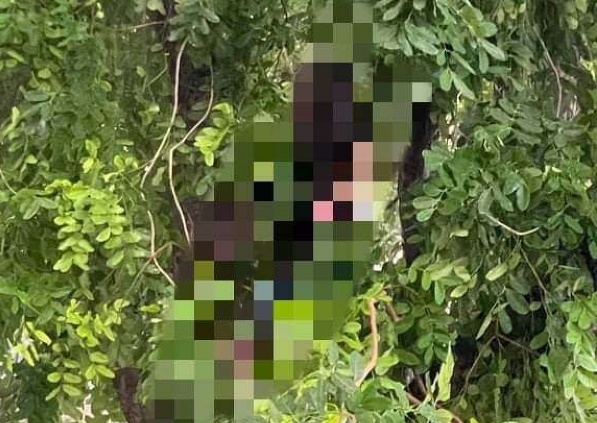 Hà Nội: Người đàn ông chết trong tư thế treo cổ có kết quả dương tính với SARS-CoV-2