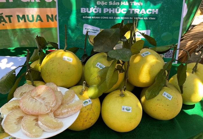Đặc sản Na Chi Lăng, Bưởi Phúc Trạch chính thức lên sàn thương mại điện tử