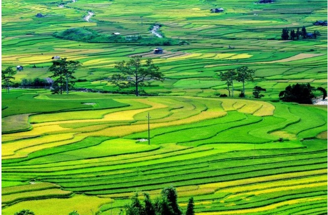 5 thủ tục hành chính mới trong lĩnh vực đất đai