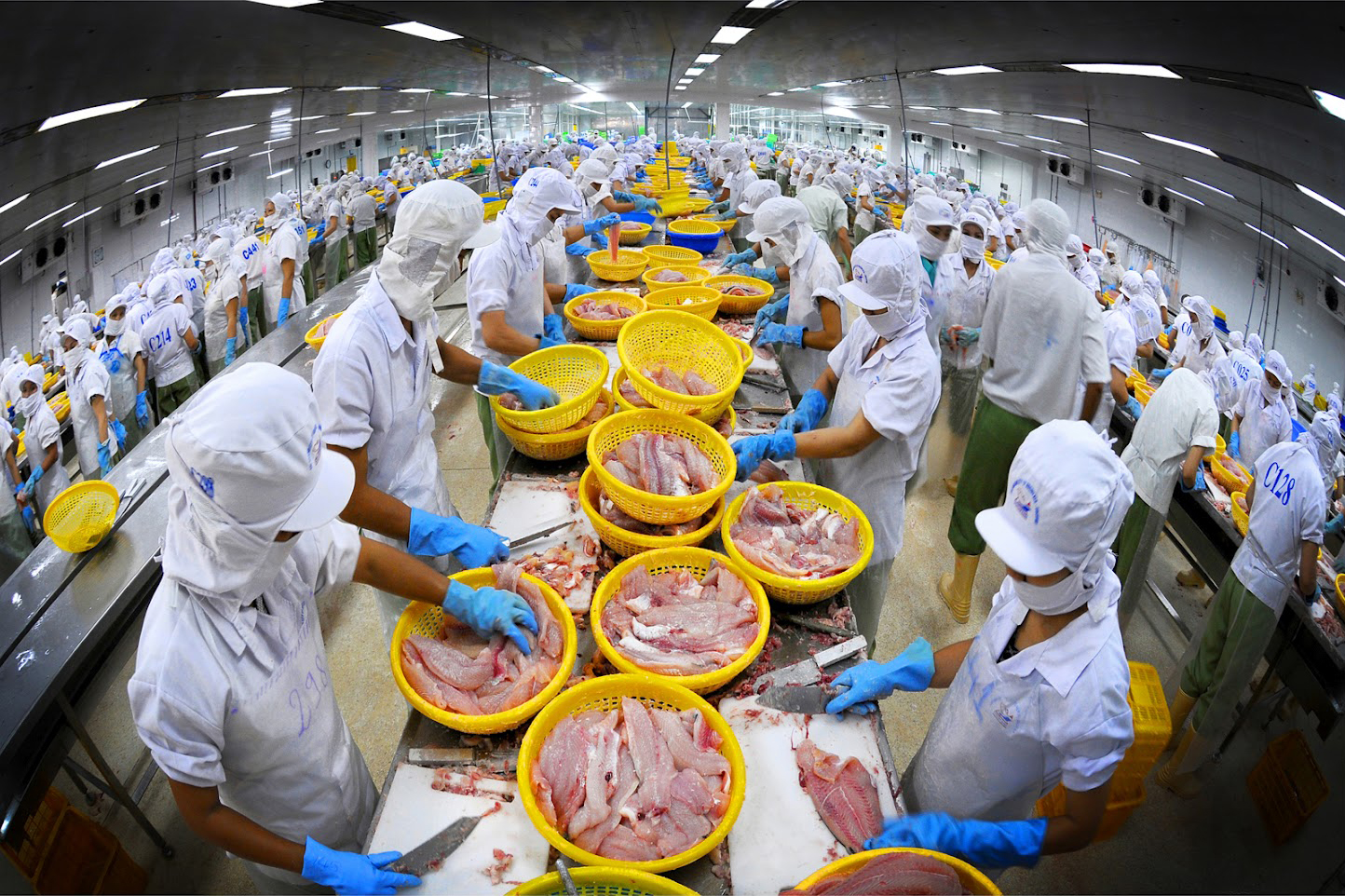 Hiệp định EVFTA: Cơ hội cho ngành thủy sản Việt Nam đẩy mạnh xuất khẩu