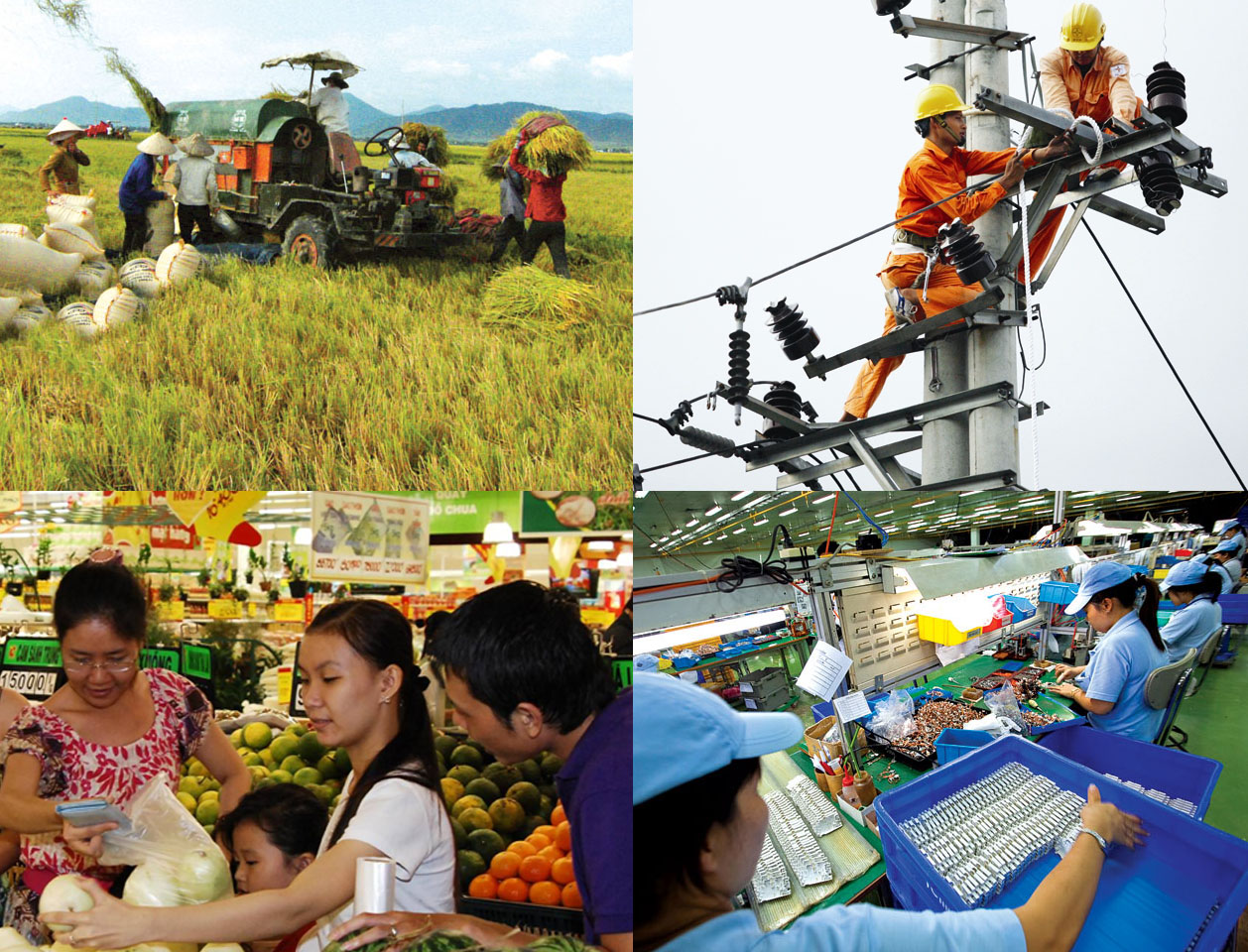 Kinh tế Việt Nam dự báo tăng trưởng 6,5% trong năm 2022
