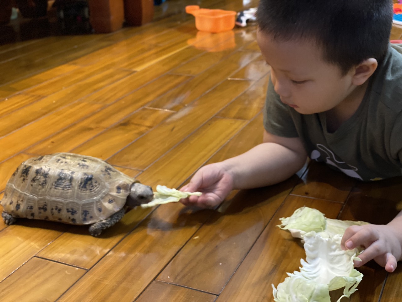Giới thiệu bài thơ: Tuổi Bé Mang Mùa Thu