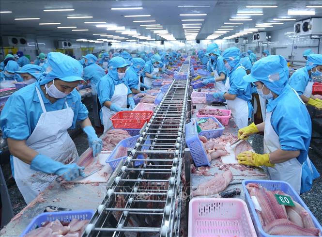 Kim ngạch xuất khẩu Việt Nam tăng bình quân 11,7% trong giai đoạn 2016-2020
