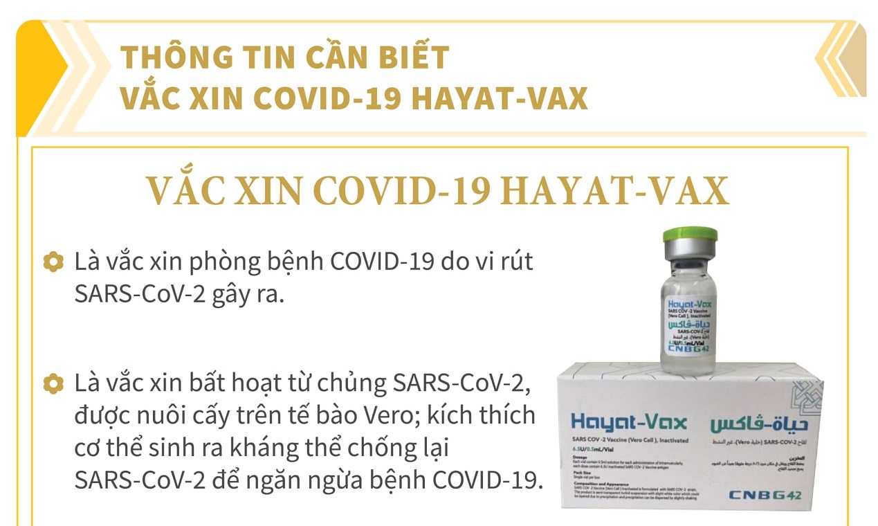 Infographic: Thông tin cần biết về vaccine Hayat-Vax, Verocell và Abdala