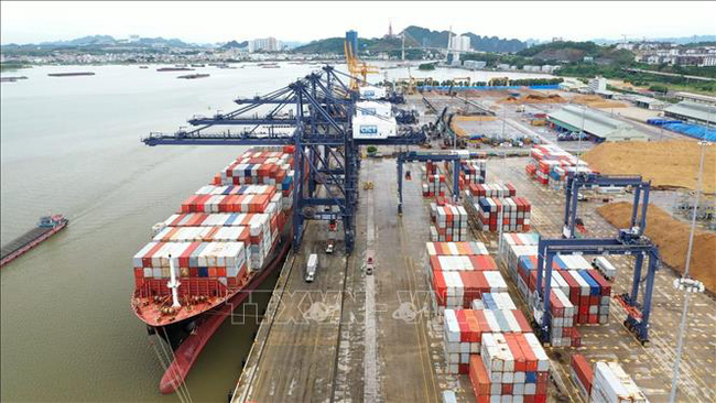 3 cảng Việt Nam trong bảng xếp hạng các cảng biển hoạt động hiệu quả nhất thế giới