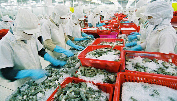 Hiệp định EVFTA: Đòn bẩy thúc đẩy thương mại trong bối cảnh bình thường mới