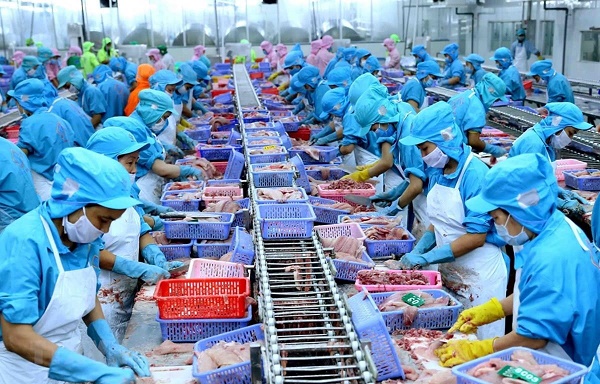 Khuyến cáo cho doanh nghiệp xuất khẩu Việt Nam