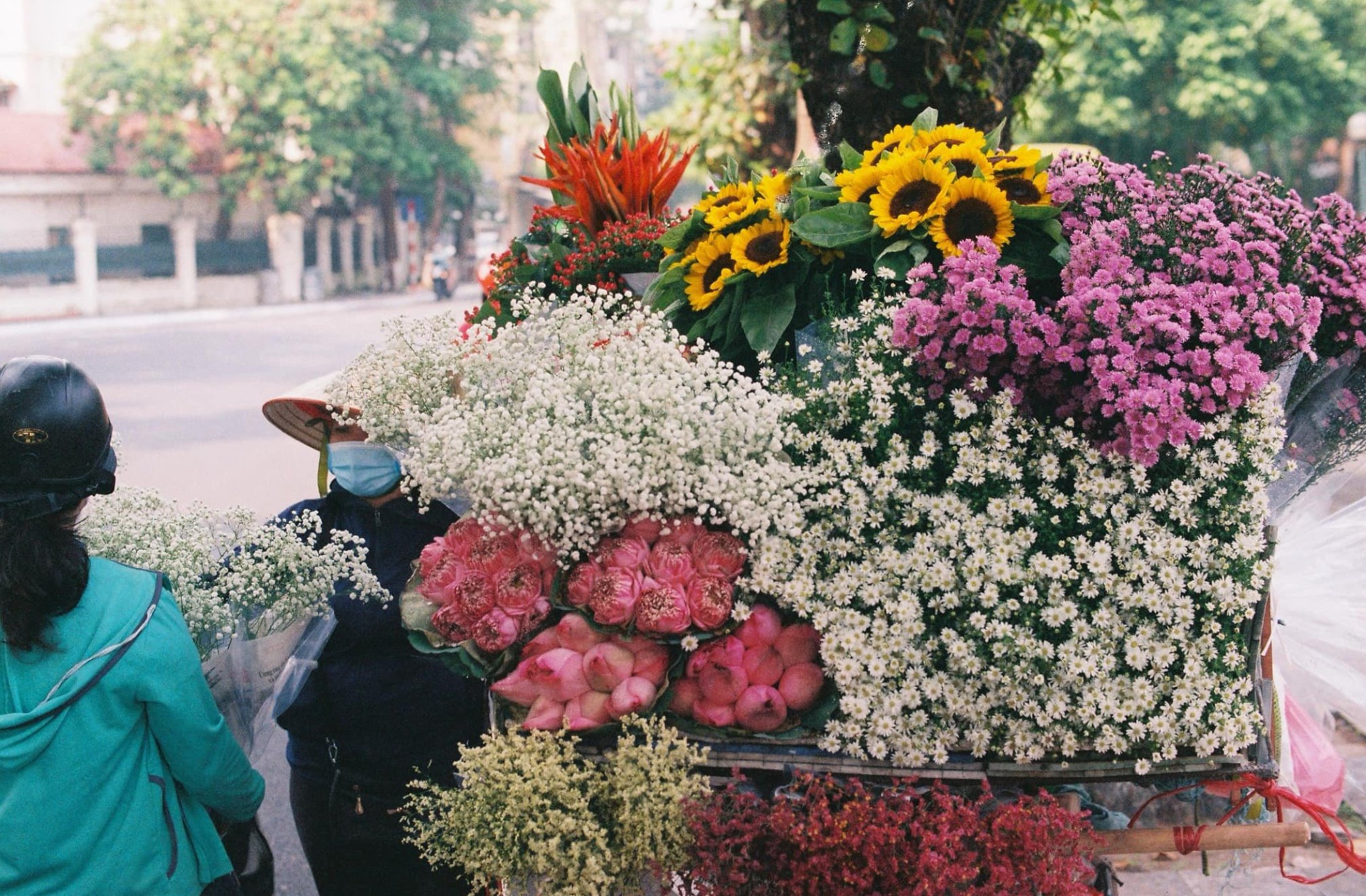 Hà Nội: Giá cúc họa mi đã 'hạ nhiệt' nhưng vẫn ít người mua