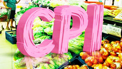 CPI tháng 11 tăng 0,32% do giá xăng dầu và gas lên giá