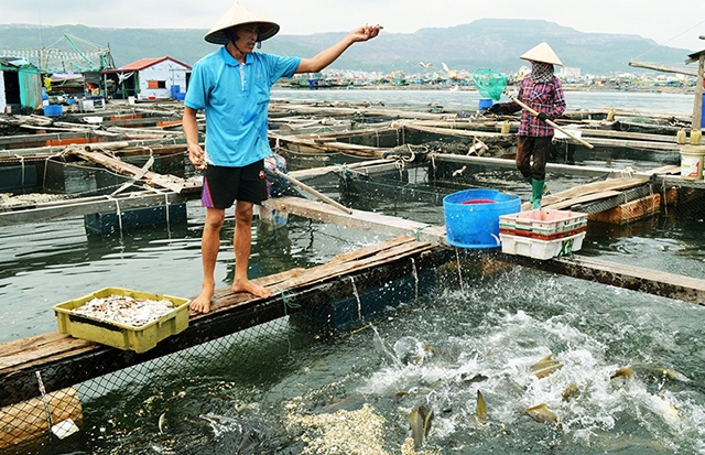 Bổ sung 102 tỷ hỗ trợ kinh phí thực hiện chính sách phát triển thủy sản