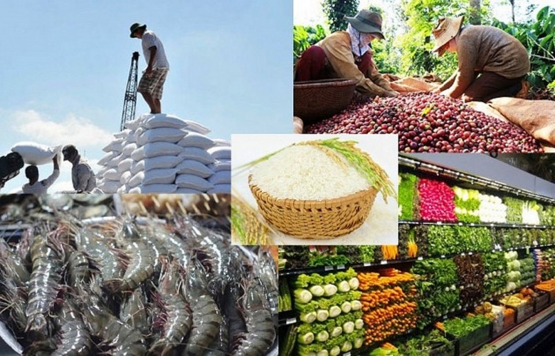 Nông sản Việt Nam một năm hái quả ngọt từ Hiệp định EVFTA