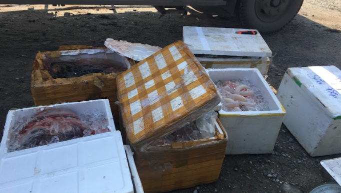 Ngăn chặn trên 200 kg nội tạng không rõ nguồn gốc, đang vận chuyển đi tiêu thụ