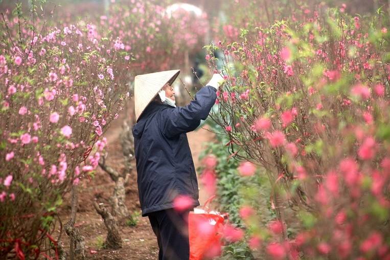 Cập nhật dự báo thời tiết Tết Nguyên đán 2022