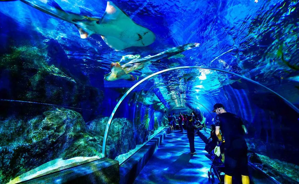 SEA-Life-Bangkok-Ocean-World-1