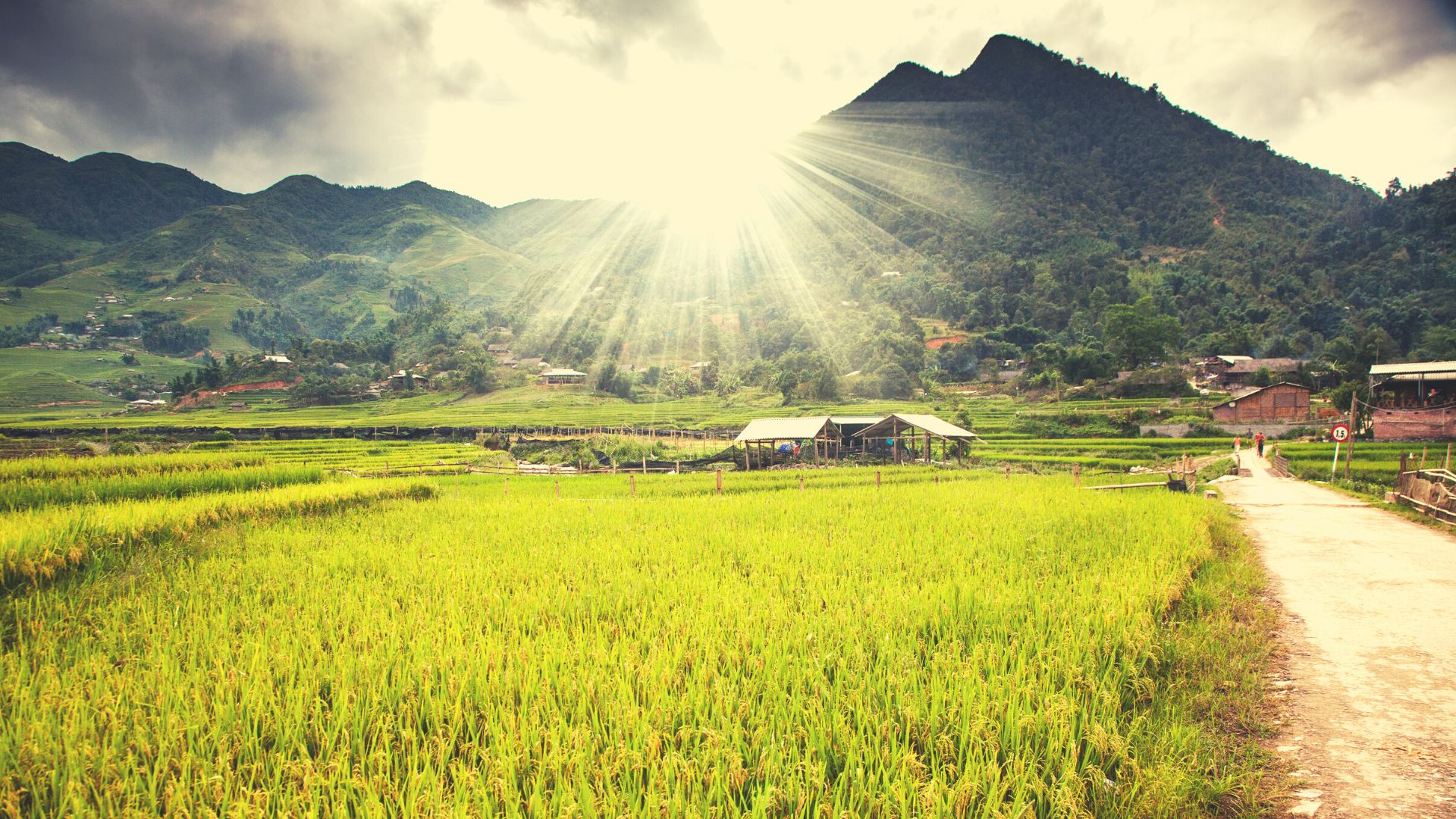 Book now Sapa Trekking & Sightseeing: Sapa - Laochai - Tavan - Catcat - Sinchai - Ma Tra - Ta Phin for 3 Days 4 Nights
