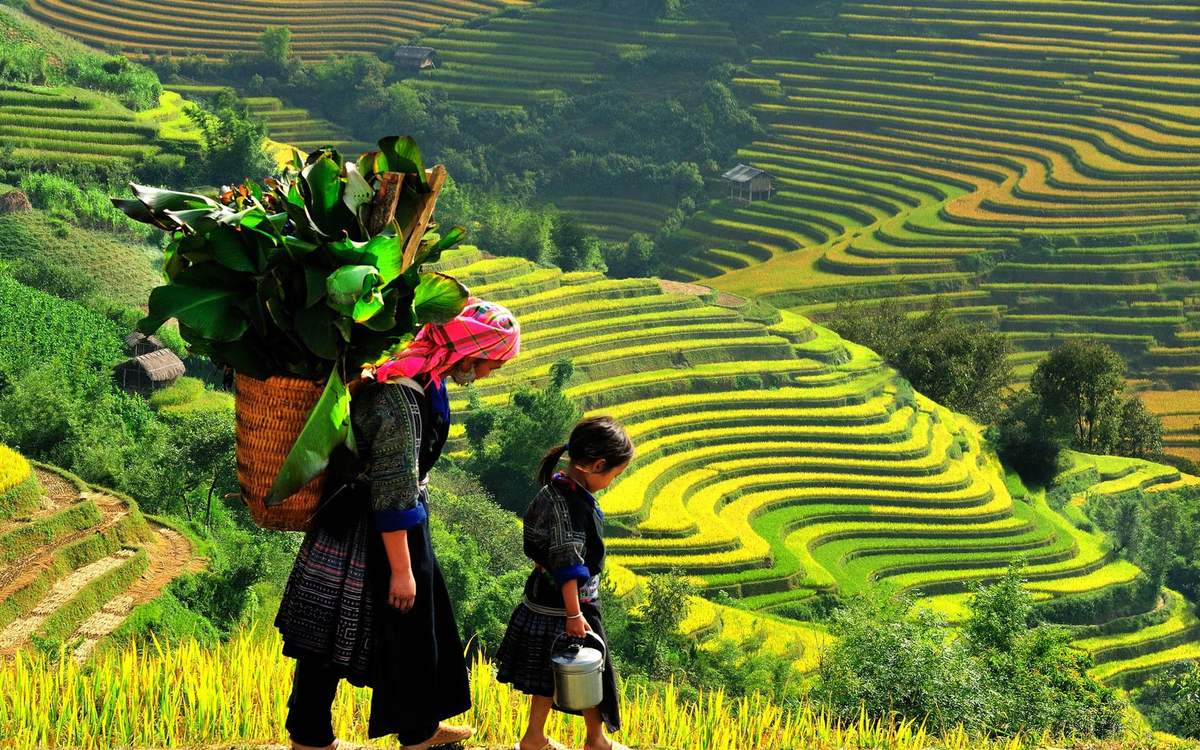 Book now Sapa Adventure: Hard Trekking for 6 days 5 nights