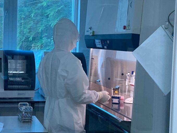 Virus SARS-CoV-2 trên bệnh nhân ở Hải Dương, Quảng Ninh tương tự chủng mới ở Anh