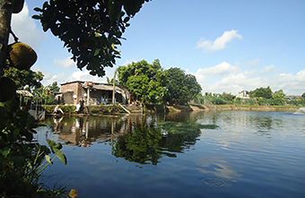 Cựu nữ Dũng sĩ Trường Sơn: Lo trọn việc nước, việc nhà
