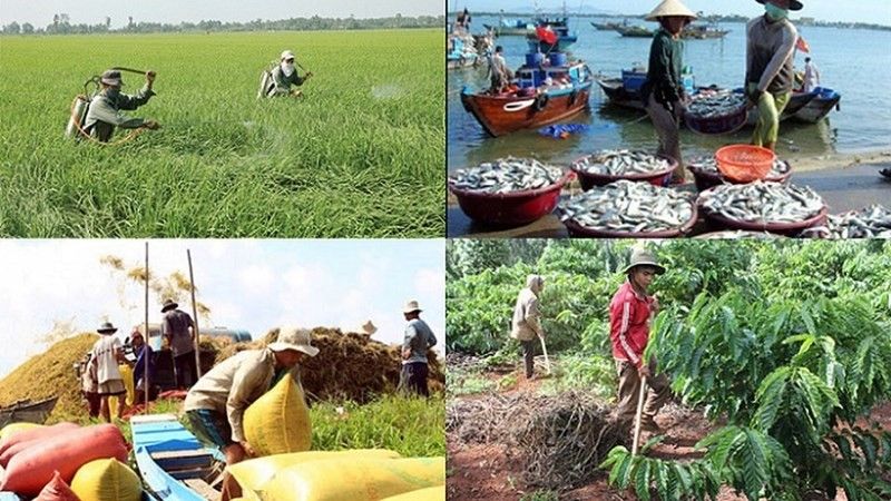 Chính sách mới về hỗ trợ bảo hiểm nông nghiệp