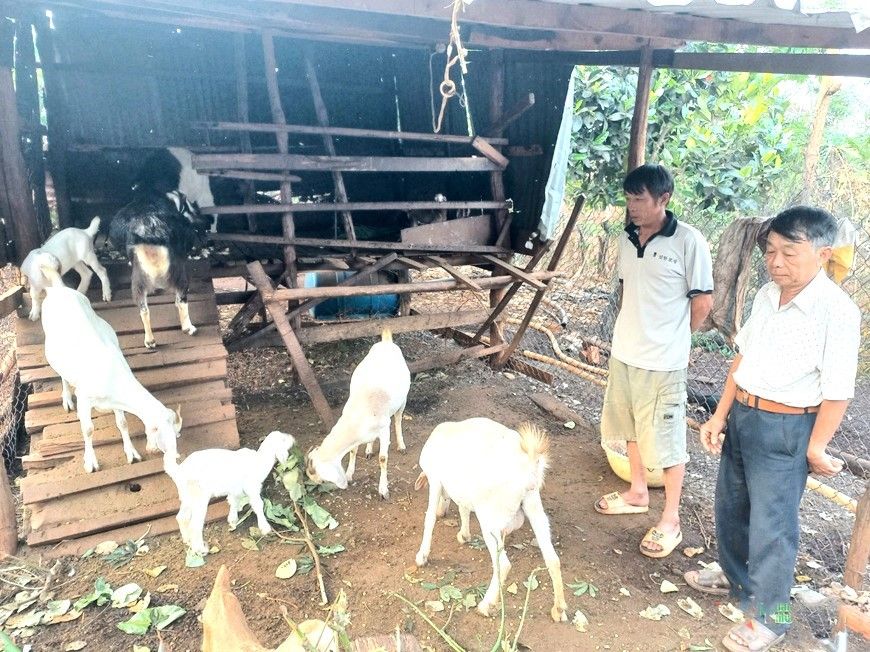 Hội Doanh nhân CCB tỉnh Đắk Lắk: Trọn hai vai