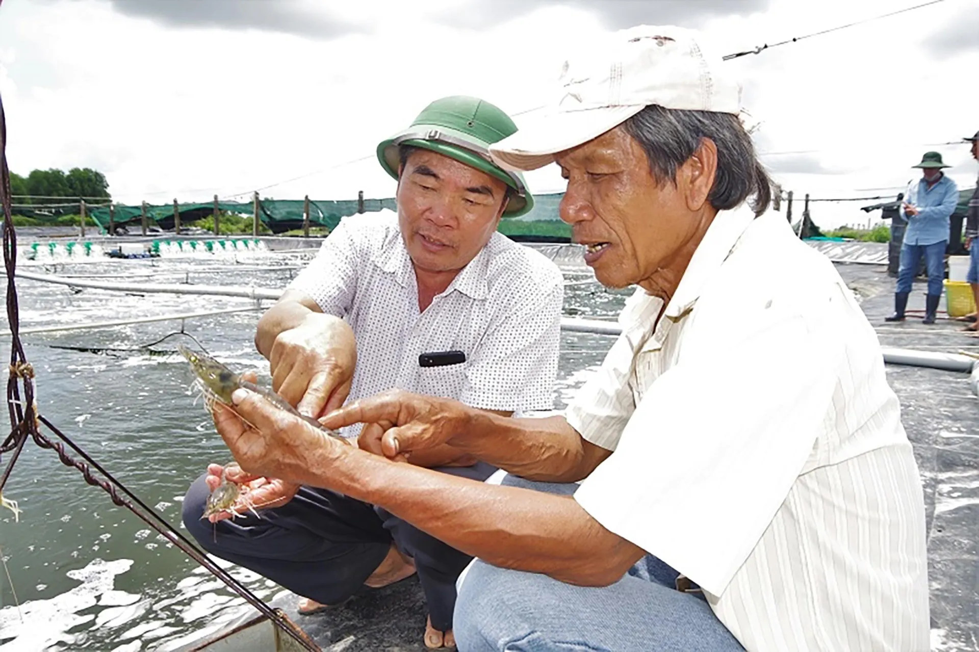 Hội Cựu chiến binh tỉnh Cà Mau: Phát triển chuỗi giá trị thủy sản gắn với chuyển đổi số