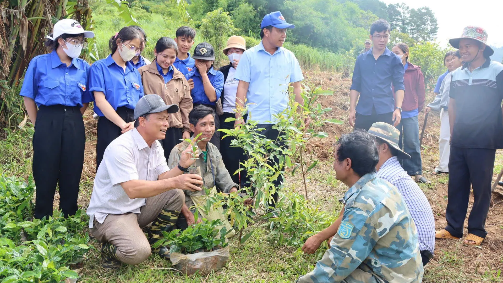 Từ “Đại hội không hoa” đến khát vọng xây dựng thương hiệu cà phê đặc sản Tu Mơ Rông