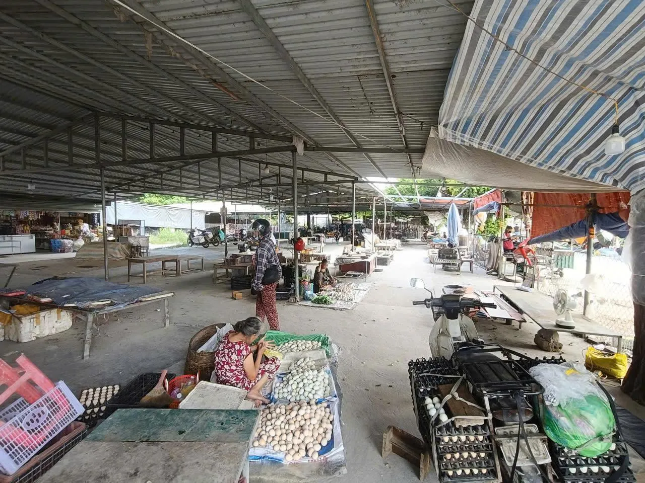 Tỉnh Thanh Hóa chỉ đạo hỏa tốc vụ việc Báo Cựu Chiến binh Việt Nam phản ánh
