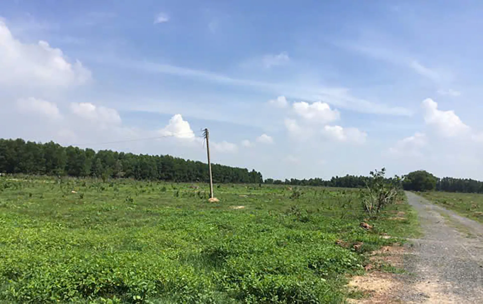 Vụ kiện đòi lại hơn 195 héc-ta đất ở Đồng Nai: Nhiều vấn đề pháp lý cần được làm rõ
