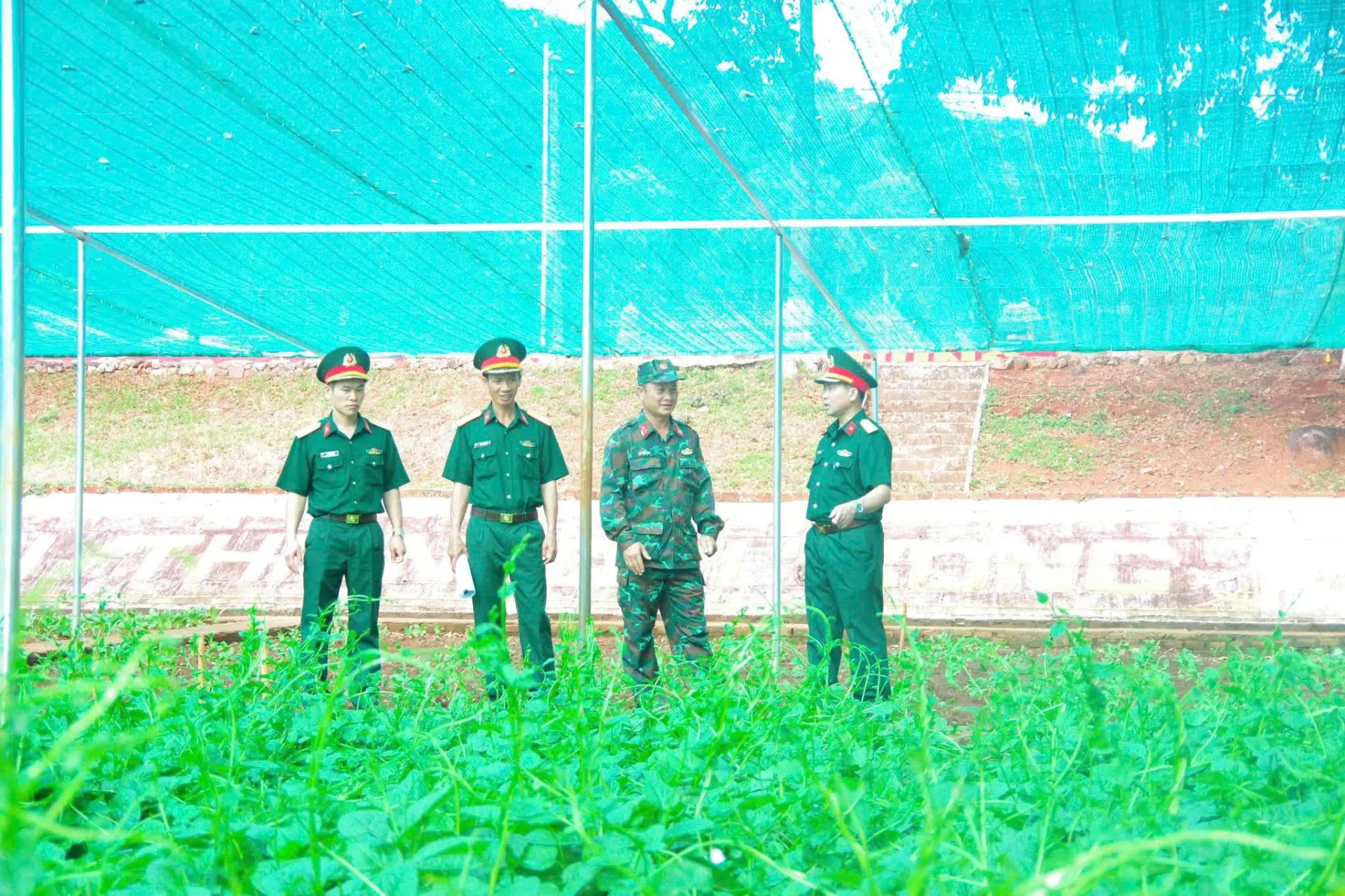 DẤU ẤN NGÀNH HẬU CẦN - KỸ THUẬT SAU HỢP NHẤT