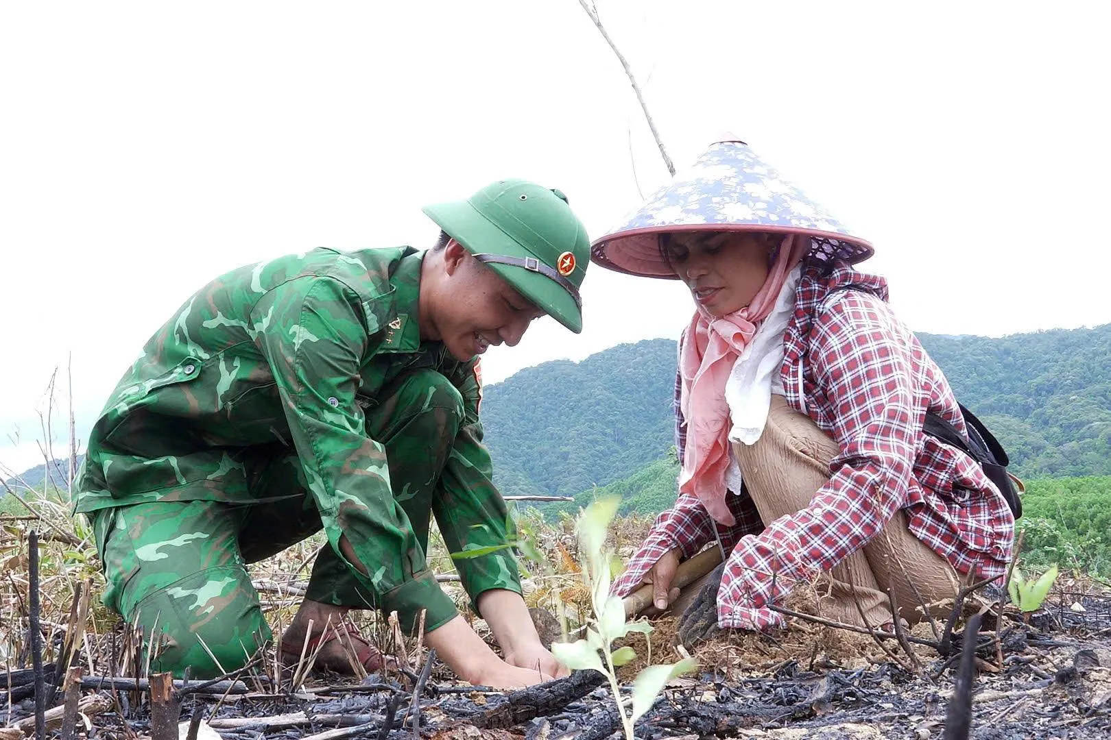 Trao 135.000 cây keo giống hỗ trợ người dân xã A Lưới 3