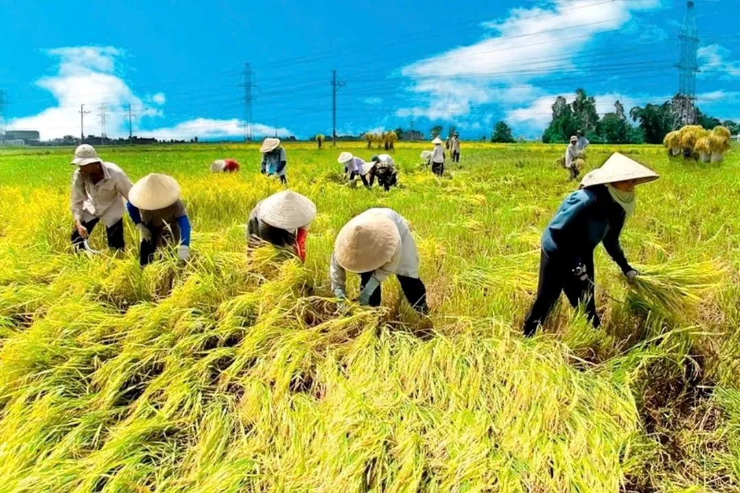 “Tam nông” trông đợi