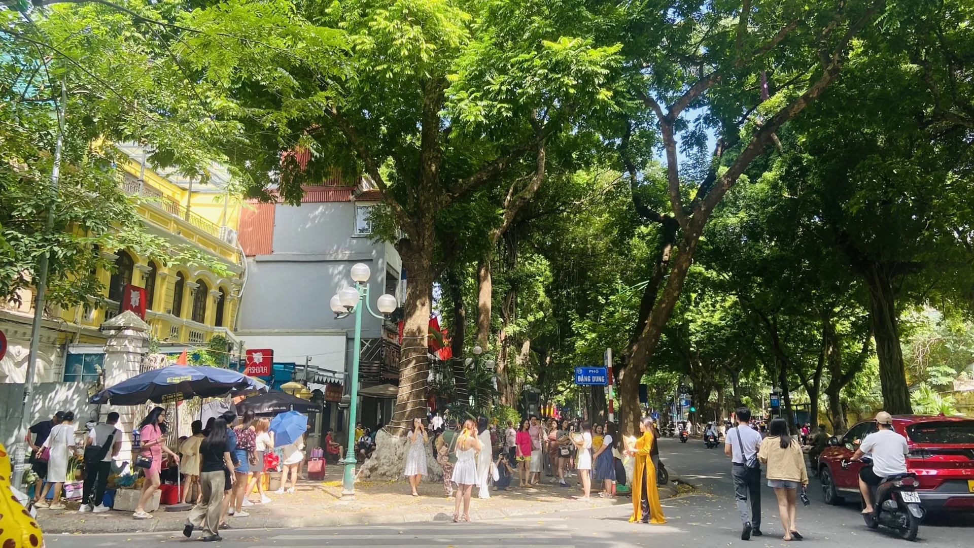 Bài 2: Những cây cổ thụ kể chuyện Hà Nội