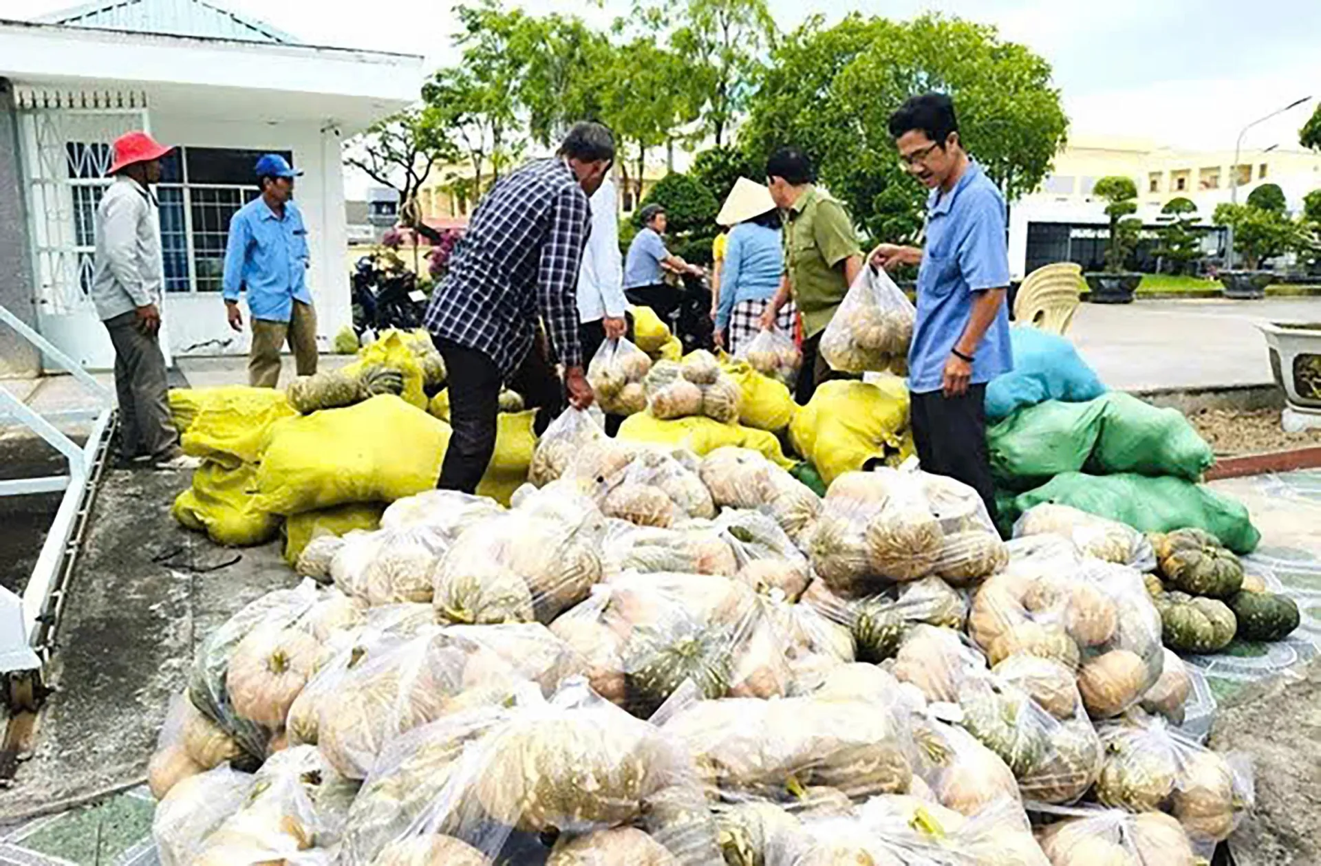 Bài 2: Nhà nông băn khoăn trên “luống cày”