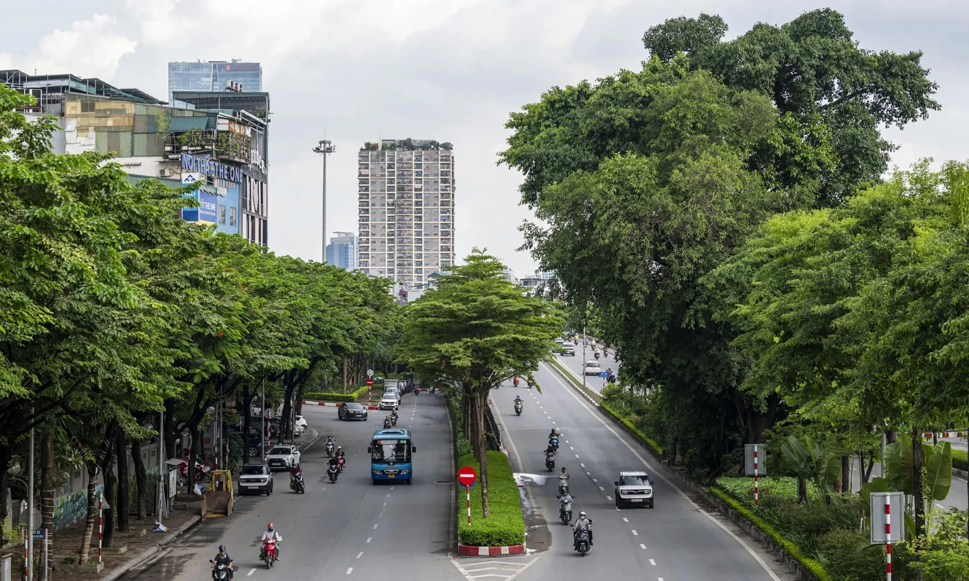 Bài 3: Cuộc cách mạng trong tư duy quản lý cây xanh