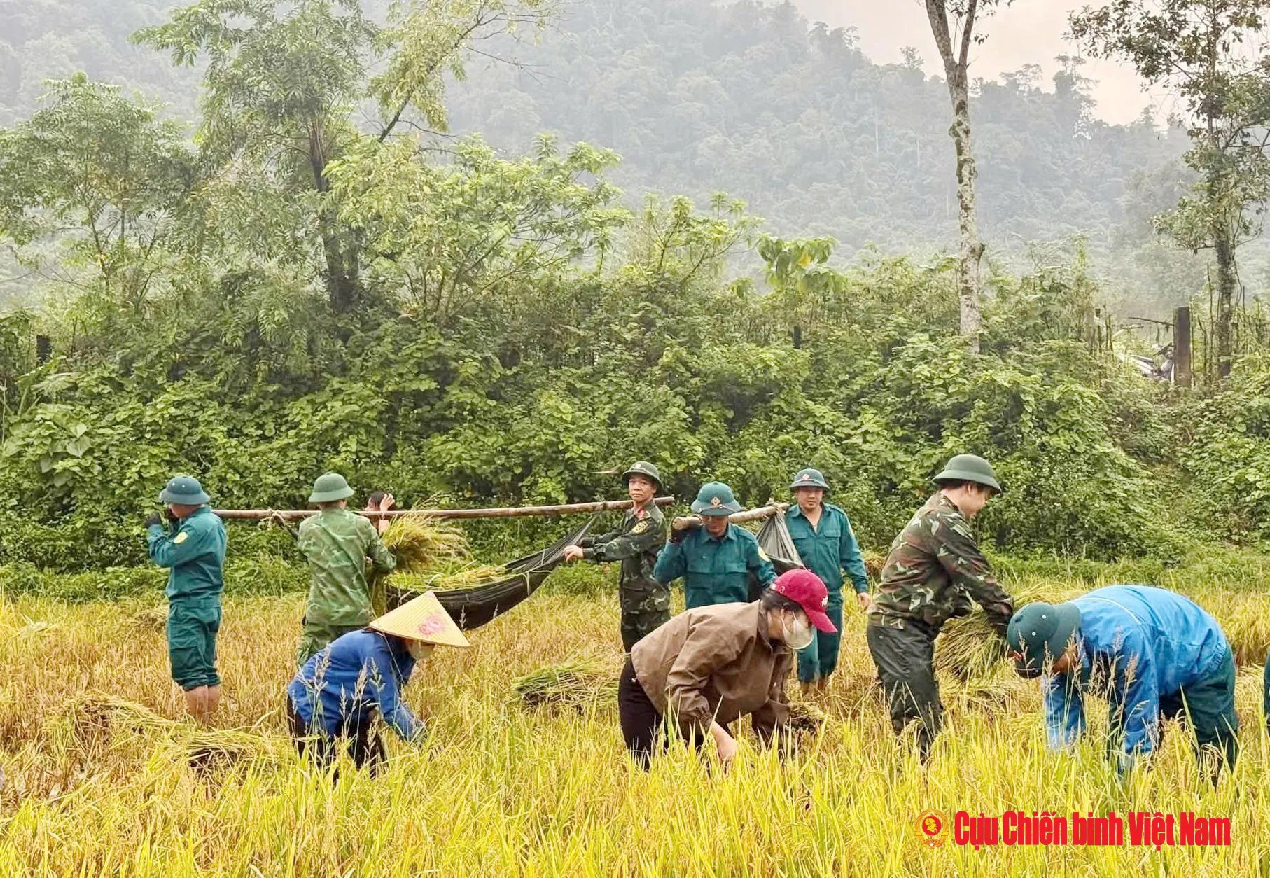 Nghĩa tình dọc dãy Trường Sơn ở Quảng Trị