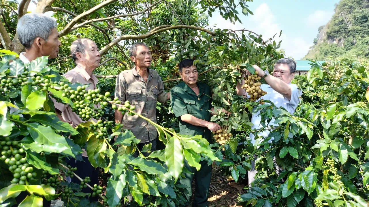 CCB Sơn La đoàn kết, giúp nhau xóa đói, giảm nghèo