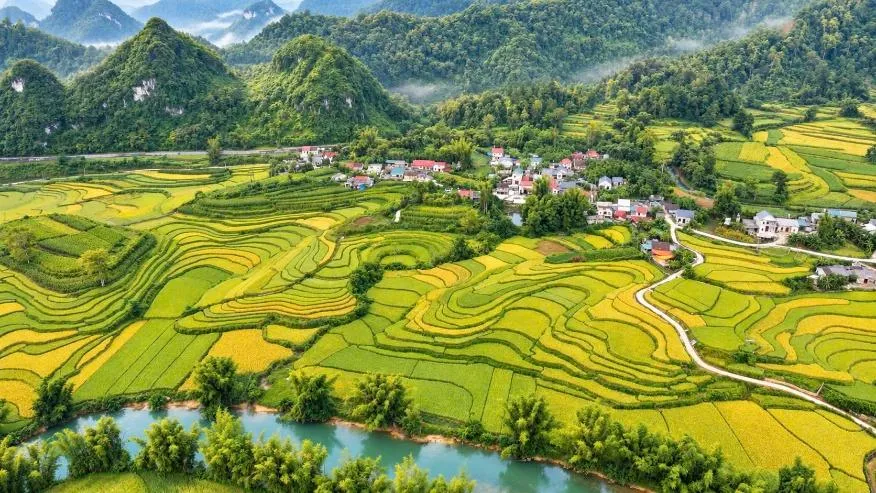 Mùa vàng Cao Bằng