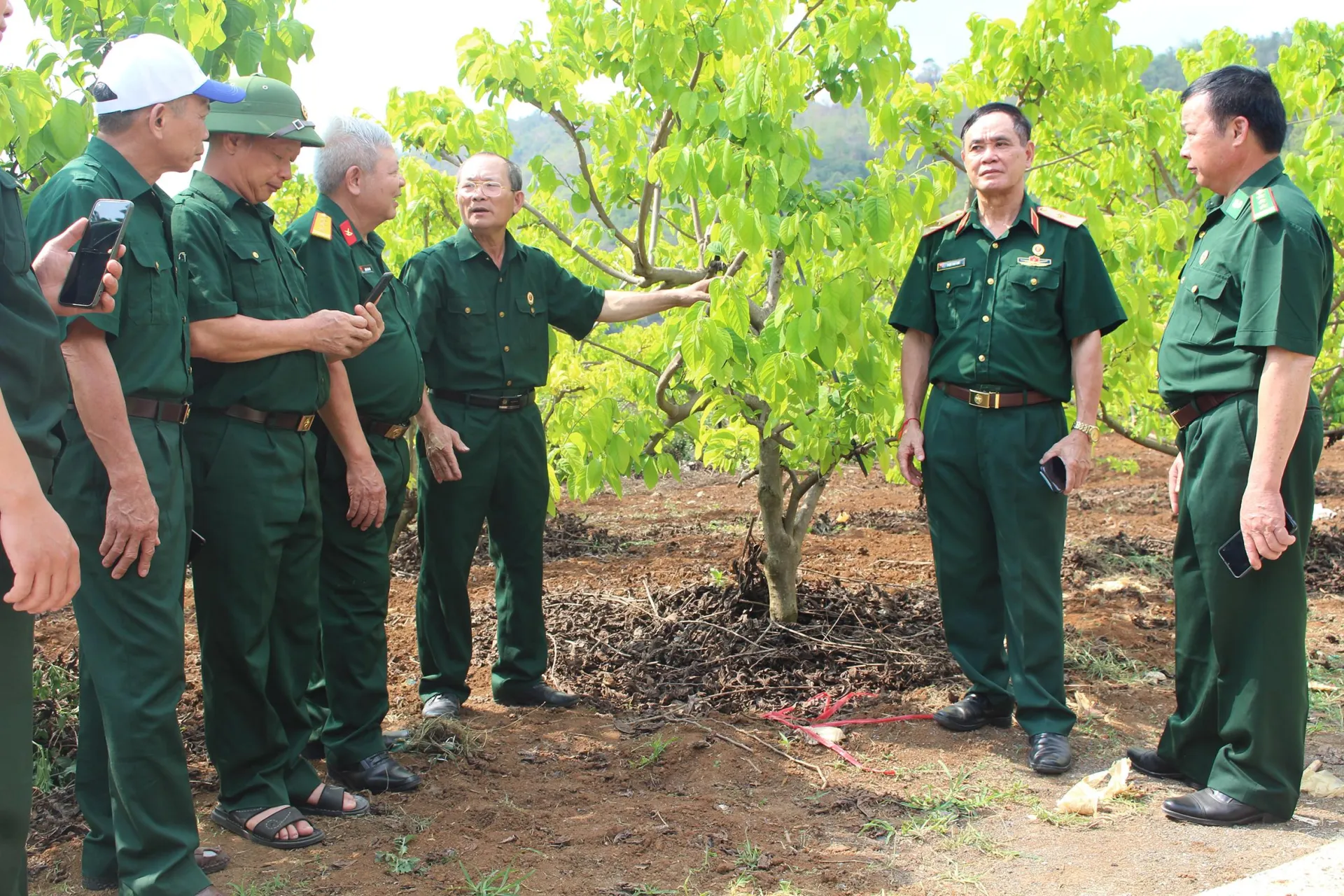 Cựu chiến binh tỉnh Sơn La tự lực vươn xa