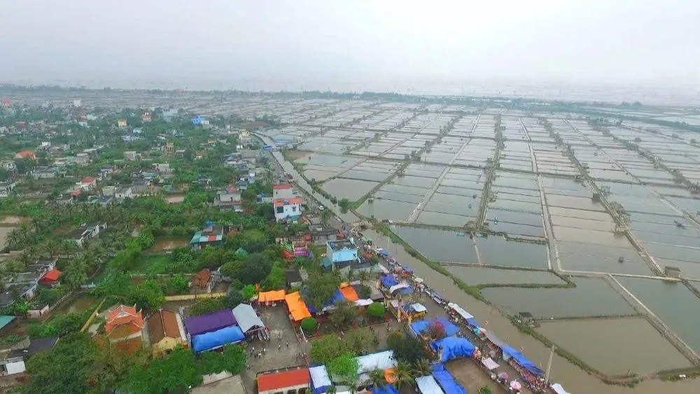 Hưng Yên đấu giá 32 lô đất tại Đồng Châu, giá khởi điểm từ 9,5 triệu đồng/m2