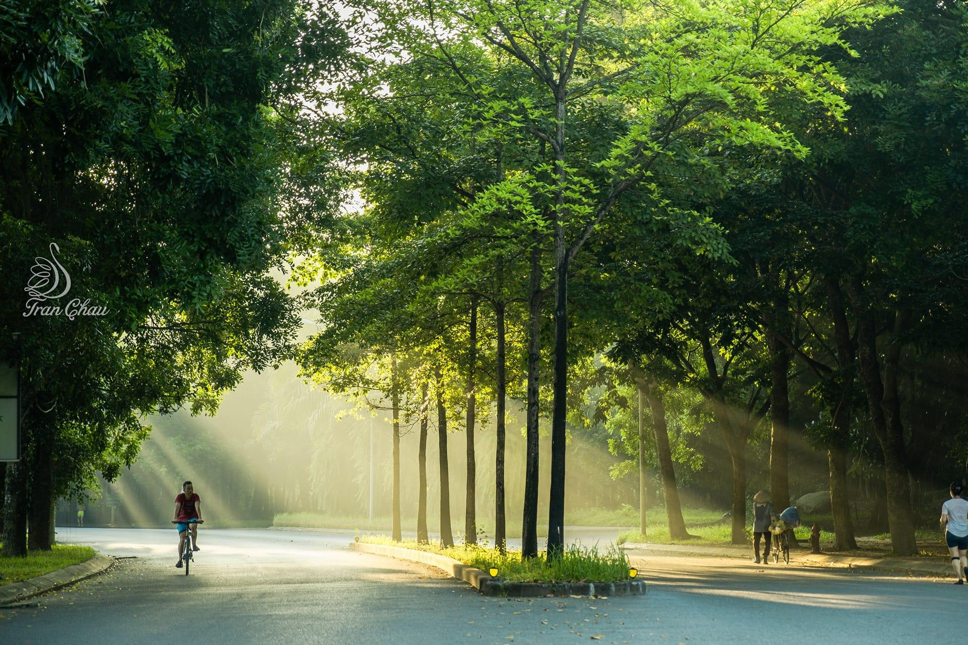 Vẻ đẹp rực rỡ của nắng mùa thu tại thiên đường xanh Ecopark