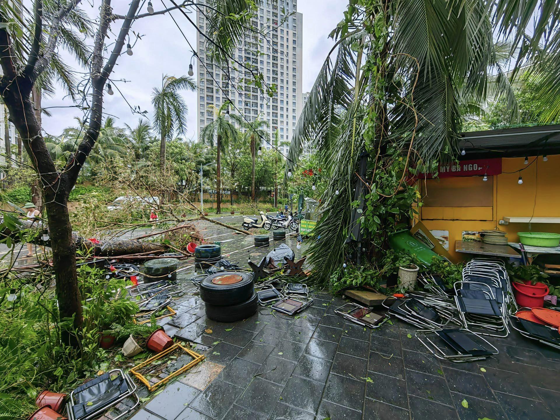 Ecopark bị tàn phá nặng nề như thế nào sau trận bão Yagi?