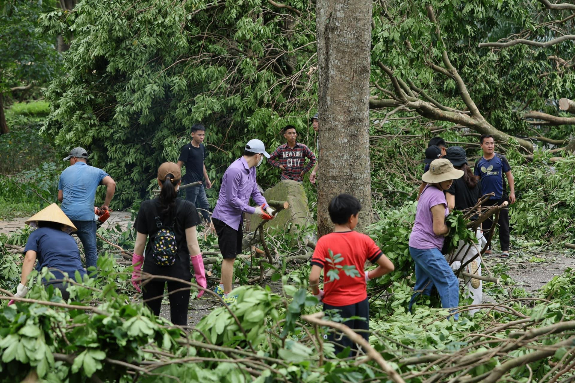 Cư dân Ecopark đồng lòng hợp sức khắc phục hậu quả sau bão Yagi